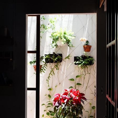 Apartmán a-mâze house Hue Exteriér fotografie